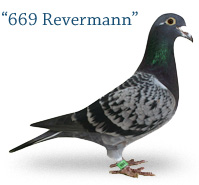669 Revermann