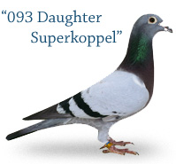 093 Daughter Superkoppel