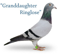 Granddaughter Ringlose