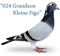 024 Grandson Kleine Figo