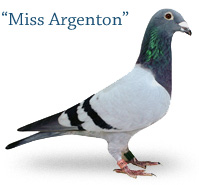 Miss Argenton