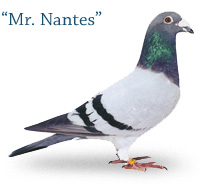 Mr. Nantes