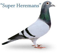 Super Heremans