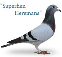 Superhen Heremans
